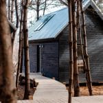 Black Forest Cabins