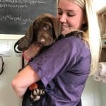 The Dog ShopBathhouse & Boutique