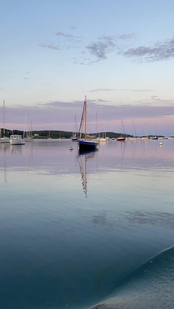 Salty Dog Dive Service