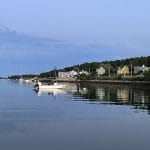 Salty Dog Dive Service
